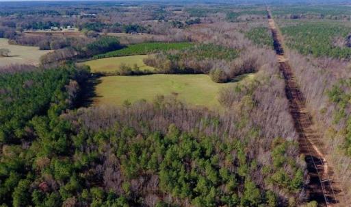 Photo of UNDER CONTRACT!!  107.9 Acres of Timber and Hunting Land For Sale in Nash County NC!