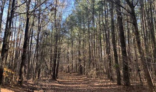 Photo of UNDER CONTRACT!!  107.9 Acres of Timber and Hunting Land For Sale in Nash County NC!