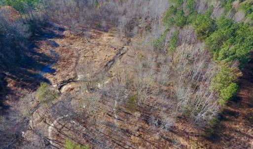 Photo of UNDER CONTRACT!!  107.9 Acres of Timber and Hunting Land For Sale in Nash County NC!