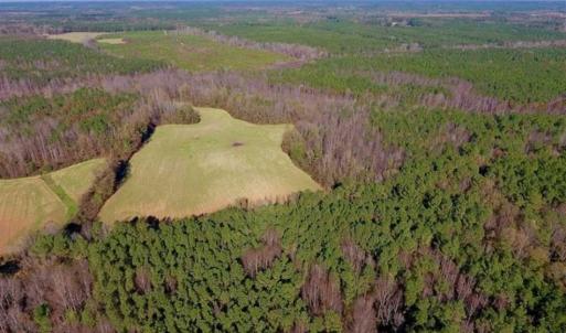 Photo of UNDER CONTRACT!!  107.9 Acres of Timber and Hunting Land For Sale in Nash County NC!