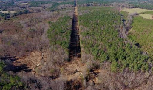 Photo of UNDER CONTRACT!!  107.9 Acres of Timber and Hunting Land For Sale in Nash County NC!