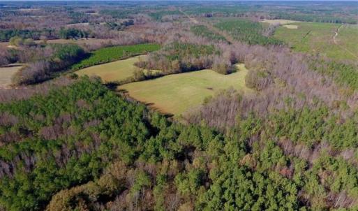 Photo of UNDER CONTRACT!!  107.9 Acres of Timber and Hunting Land For Sale in Nash County NC!