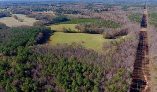 Photo of UNDER CONTRACT!!  107.9 Acres of Timber and Hunting Land For Sale in Nash County NC!