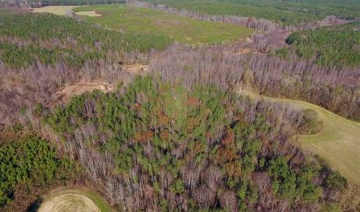Photo of UNDER CONTRACT!!  107.9 Acres of Timber and Hunting Land For Sale in Nash County NC!