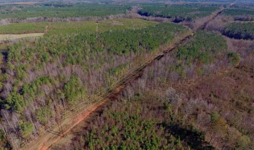 Photo of UNDER CONTRACT!!  107.9 Acres of Timber and Hunting Land For Sale in Nash County NC!