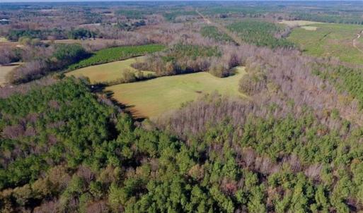 Photo of UNDER CONTRACT!!  107.9 Acres of Timber and Hunting Land For Sale in Nash County NC!