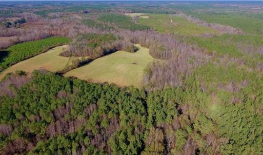 Photo of UNDER CONTRACT!!  107.9 Acres of Timber and Hunting Land For Sale in Nash County NC!
