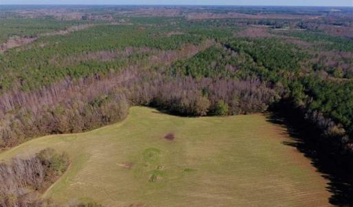 Photo of UNDER CONTRACT!!  107.9 Acres of Timber and Hunting Land For Sale in Nash County NC!