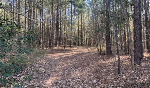 Photo of UNDER CONTRACT!!  107.9 Acres of Timber and Hunting Land For Sale in Nash County NC!