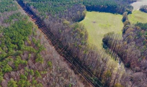 Photo of UNDER CONTRACT!!  107.9 Acres of Timber and Hunting Land For Sale in Nash County NC!