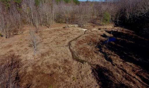Photo of UNDER CONTRACT!!  107.9 Acres of Timber and Hunting Land For Sale in Nash County NC!