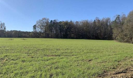 Photo of UNDER CONTRACT!!  107.9 Acres of Timber and Hunting Land For Sale in Nash County NC!