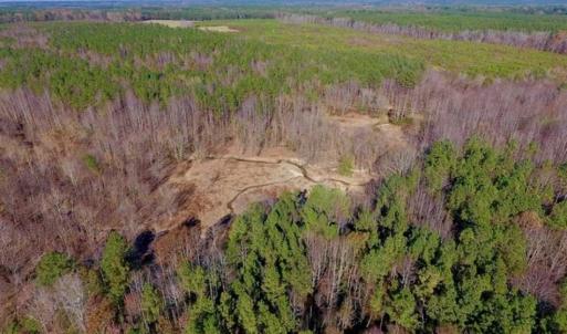 Photo of UNDER CONTRACT!!  107.9 Acres of Timber and Hunting Land For Sale in Nash County NC!
