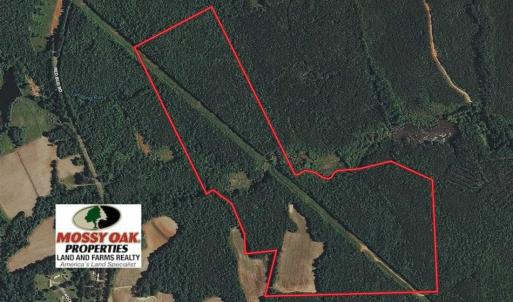 Photo of UNDER CONTRACT!!  107.9 Acres of Timber and Hunting Land For Sale in Nash County NC!