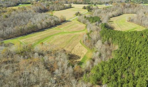 Photo of 41.32 Acres of Farm and Hunting Land for Sale in Rockingham County NC!