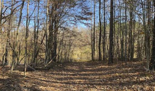 Photo of 41.32 Acres of Farm and Hunting Land for Sale in Rockingham County NC!