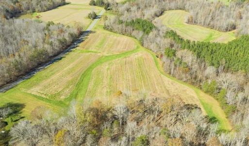 Photo of 41.32 Acres of Farm and Hunting Land for Sale in Rockingham County NC!