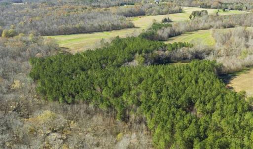 Photo of 41.32 Acres of Farm and Hunting Land for Sale in Rockingham County NC!