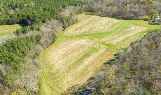 Photo of 41.32 Acres of Farm and Hunting Land for Sale in Rockingham County NC!