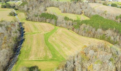Photo of 41.32 Acres of Farm and Hunting Land for Sale in Rockingham County NC!