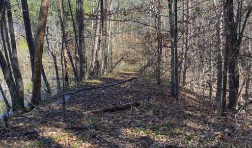 Photo of 41.32 Acres of Farm and Hunting Land for Sale in Rockingham County NC!