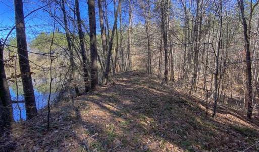 Photo of 41.32 Acres of Farm and Hunting Land for Sale in Rockingham County NC!