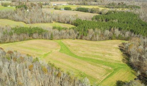 Photo of 41.32 Acres of Farm and Hunting Land for Sale in Rockingham County NC!
