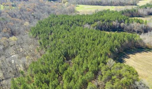 Photo of 41.32 Acres of Farm and Hunting Land for Sale in Rockingham County NC!