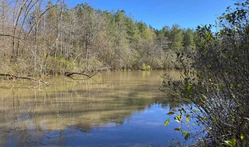 Photo of 41.32 Acres of Farm and Hunting Land for Sale in Rockingham County NC!