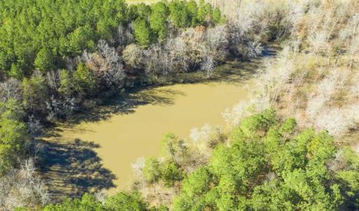 Photo of 41.32 Acres of Farm and Hunting Land for Sale in Rockingham County NC!