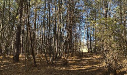 Photo of 41.32 Acres of Farm and Hunting Land for Sale in Rockingham County NC!