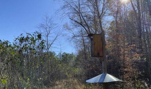 Photo of 41.32 Acres of Farm and Hunting Land for Sale in Rockingham County NC!