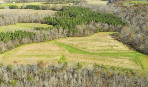 Photo of 41.32 Acres of Farm and Hunting Land for Sale in Rockingham County NC!