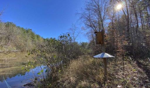Photo of 41.32 Acres of Farm and Hunting Land for Sale in Rockingham County NC!
