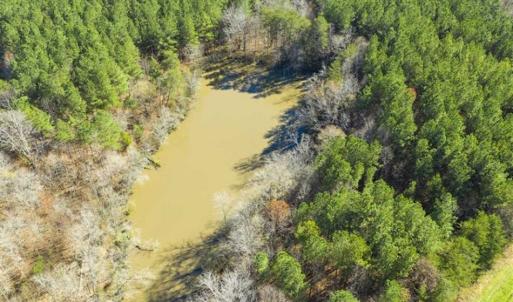 Photo of 41.32 Acres of Farm and Hunting Land for Sale in Rockingham County NC!