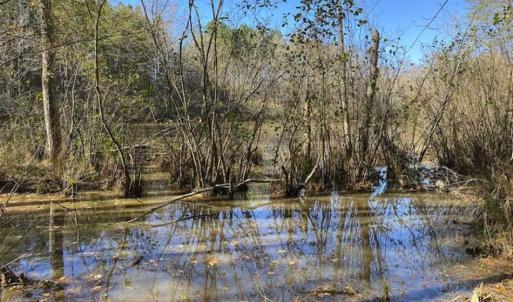 Photo of 41.32 Acres of Farm and Hunting Land for Sale in Rockingham County NC!