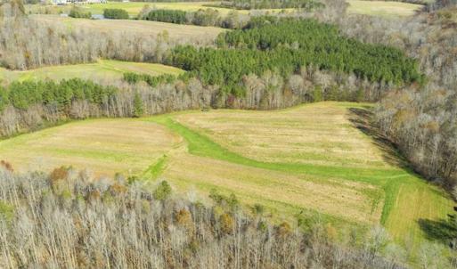 Photo of 41.32 Acres of Farm and Hunting Land for Sale in Rockingham County NC!