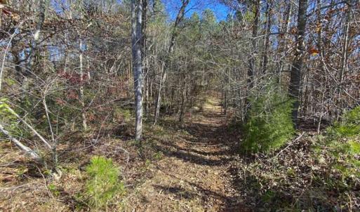 Photo of 41.32 Acres of Farm and Hunting Land for Sale in Rockingham County NC!