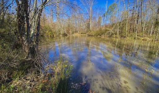 Photo of 41.32 Acres of Farm and Hunting Land for Sale in Rockingham County NC!
