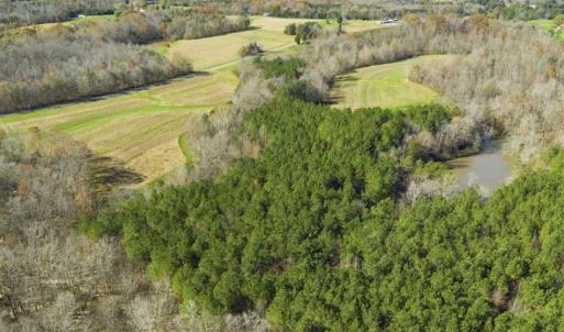Photo of 41.32 Acres of Farm and Hunting Land for Sale in Rockingham County NC!