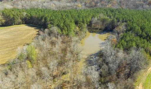 Photo of 41.32 Acres of Farm and Hunting Land for Sale in Rockingham County NC!
