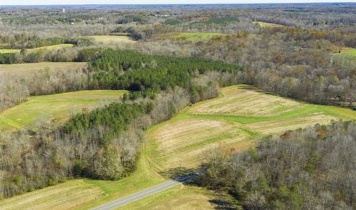 Photo of 41.32 Acres of Farm and Hunting Land for Sale in Rockingham County NC!