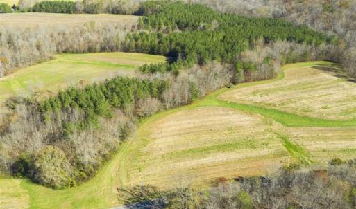 Photo of 41.32 Acres of Farm and Hunting Land for Sale in Rockingham County NC!