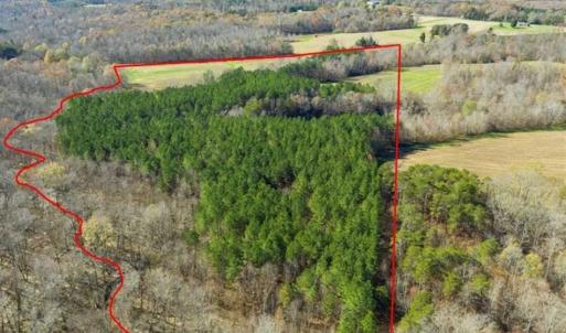 Photo of 41.32 Acres of Farm and Hunting Land for Sale in Rockingham County NC!