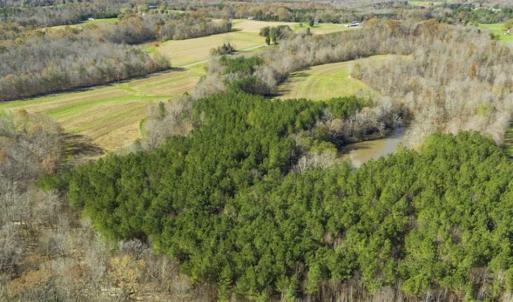 Photo of 41.32 Acres of Farm and Hunting Land for Sale in Rockingham County NC!