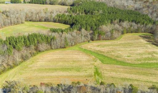 Photo of 41.32 Acres of Farm and Hunting Land for Sale in Rockingham County NC!
