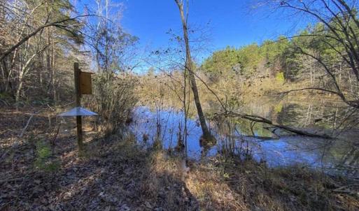 Photo of 41.32 Acres of Farm and Hunting Land for Sale in Rockingham County NC!