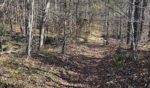 Photo of 41.32 Acres of Farm and Hunting Land for Sale in Rockingham County NC!