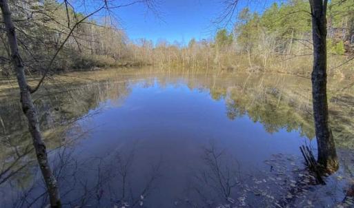 Photo of 41.32 Acres of Farm and Hunting Land for Sale in Rockingham County NC!