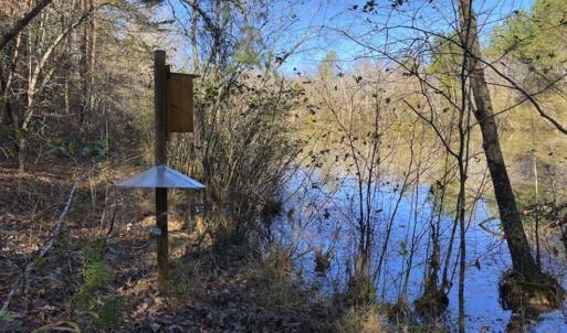 Photo of 41.32 Acres of Farm and Hunting Land for Sale in Rockingham County NC!